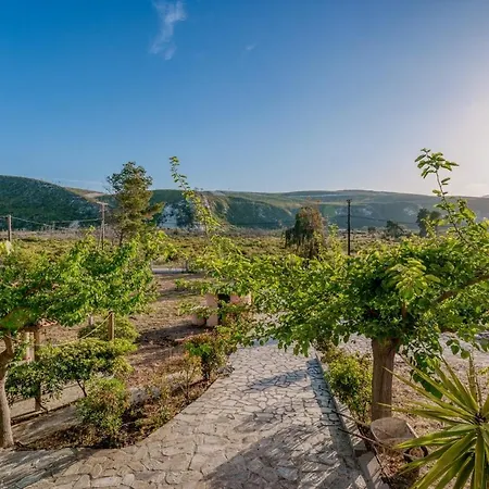 Apartment Thea Near The Agkali - Ayia Anna In Evia *