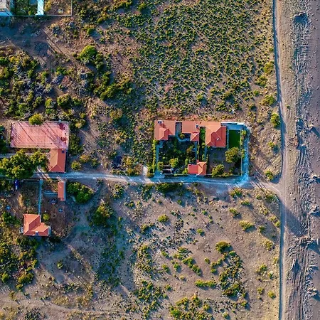 Thea Near The Agkali - Ayia Anna In Evia Kria Vrisi (Kireas)